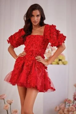 Coraline Dress -Alamour Sale Store 59 b09c991e 387d 47ba b903 dcf10118fa7c